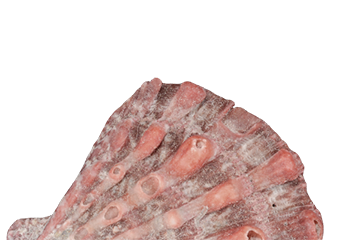 Graphical design element of a curved line