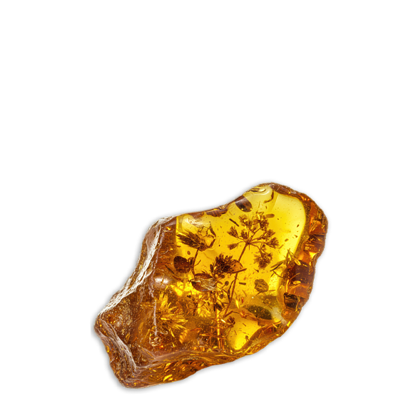 Header image for course