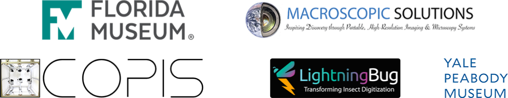 Header image for course